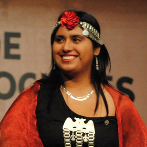 LUZ MARINA HUENCHUCOY
